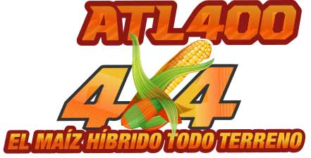 maizhibridotodoterreno