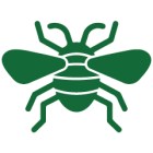 insecticida-icon4