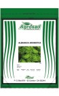ALBAHACA AROMÁTICA