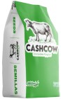 CASHCOW INTERMEDIATE RYEGRASS